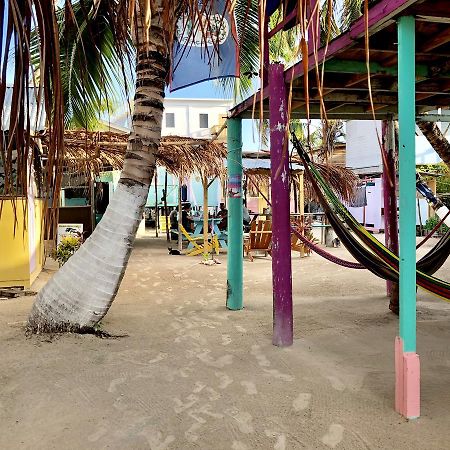 Caye Corker Tropical Oasis旅舍 外观 照片