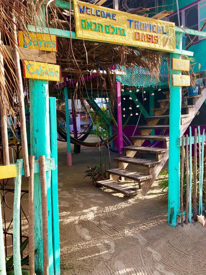 Caye Corker Tropical Oasis旅舍 外观 照片