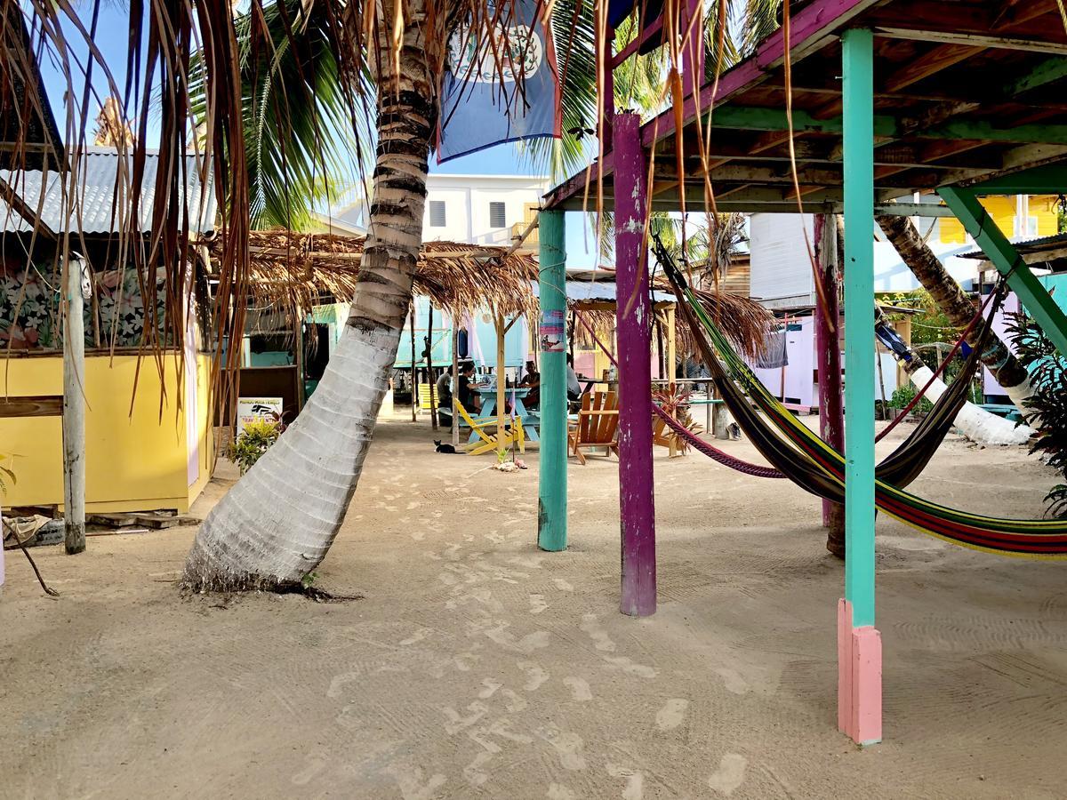 Caye Corker Tropical Oasis旅舍 外观 照片