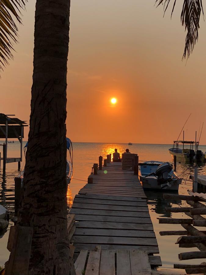 Caye Corker Tropical Oasis旅舍 外观 照片