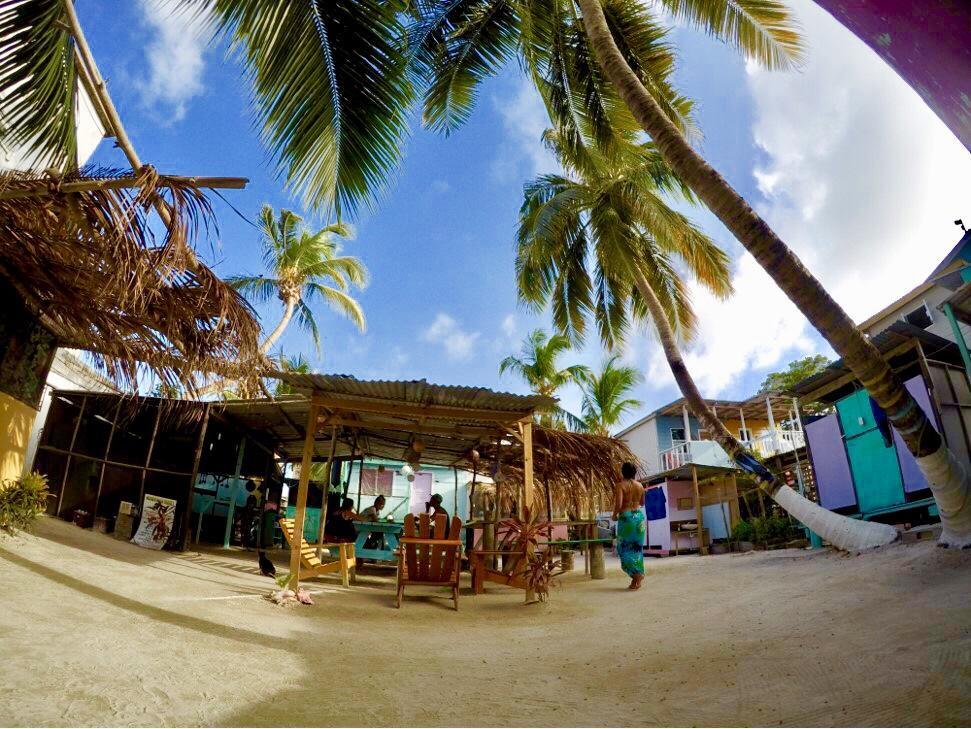 Caye Corker Tropical Oasis旅舍 外观 照片